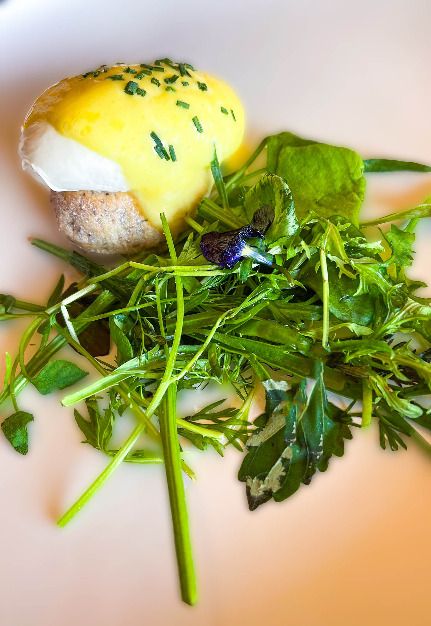 Breakfast Forestis 1