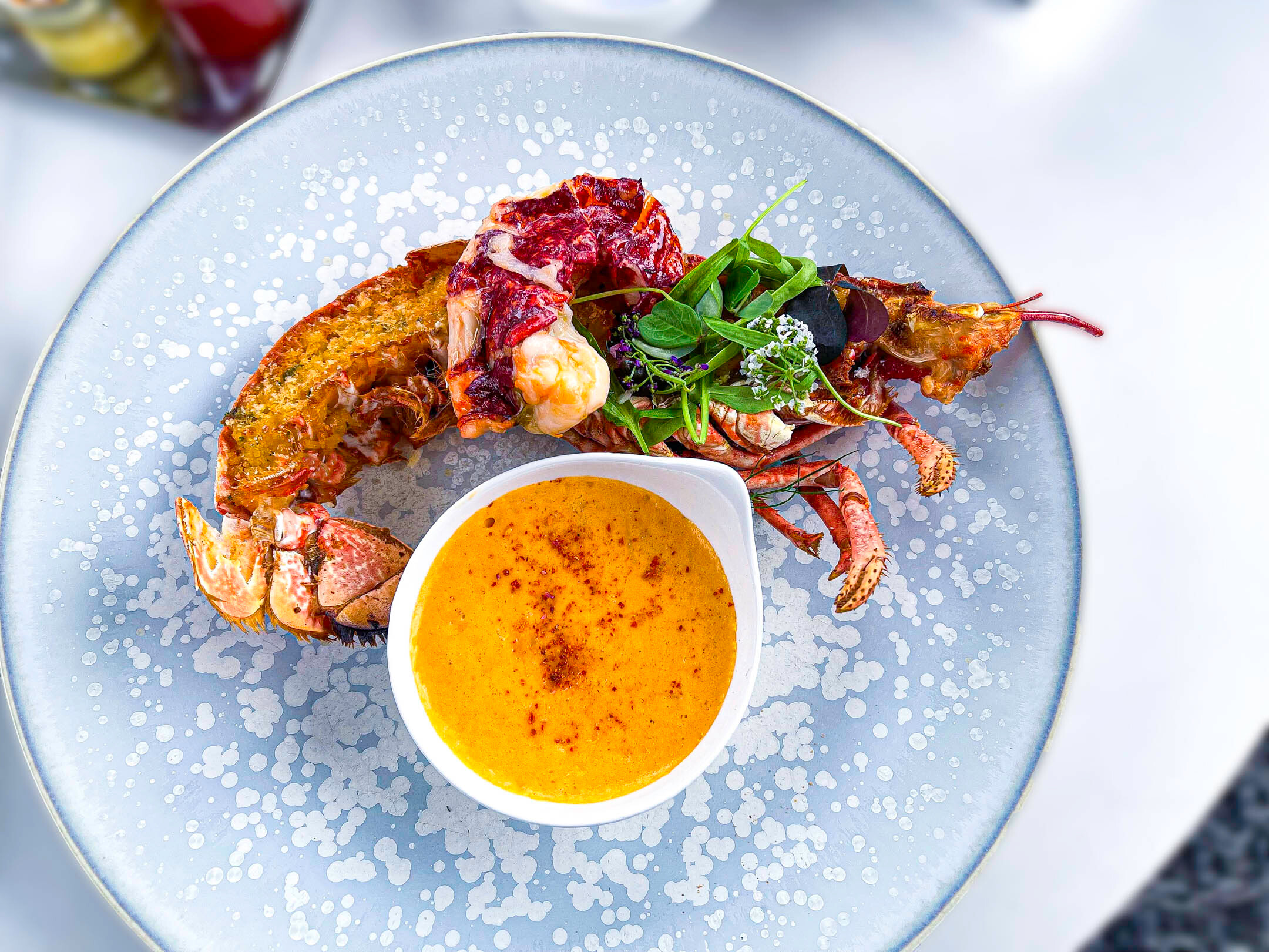 Photo 26 04 2024 Camelia Lunch Lobster Parmentier 